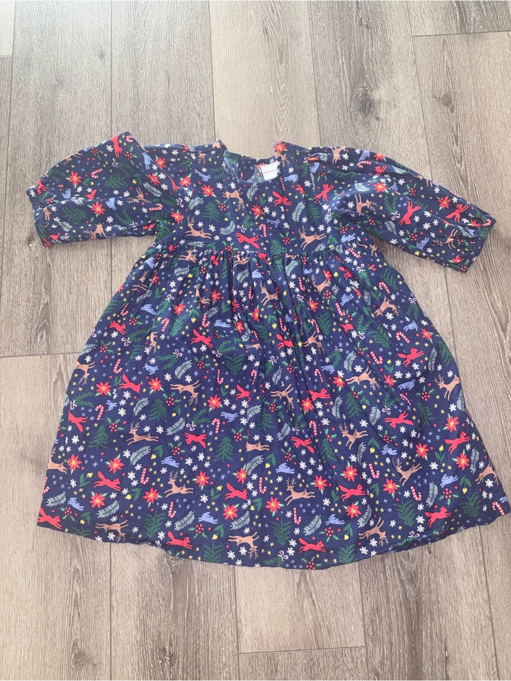 Hanna Andersson Navy Holiday Print Dress with Red and Green Accents